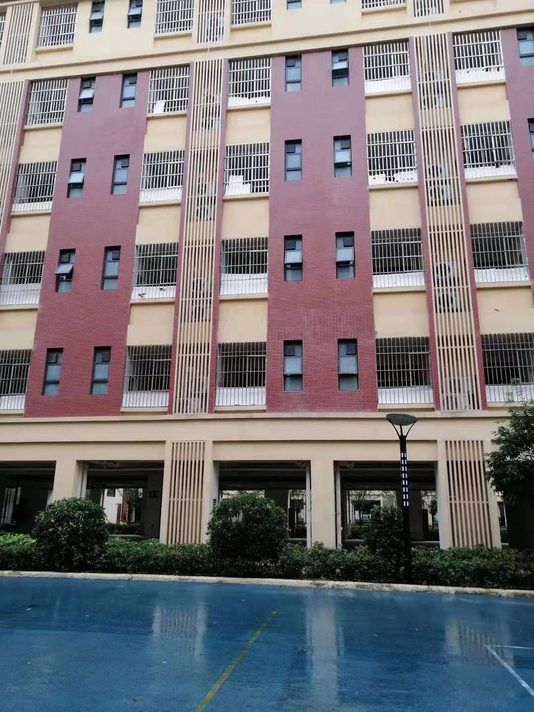 暂无标题